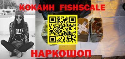 spice Кингисепп