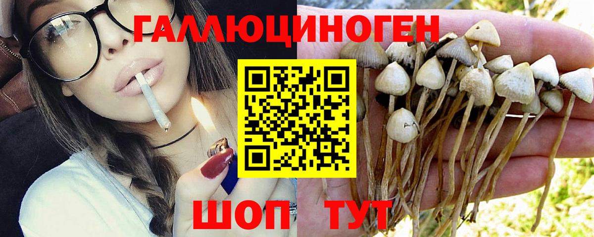 Галлюциногенные грибы MAGIC MUSHROOMS Краснокаменск
